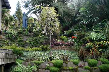 Tim Gordon Landscaping